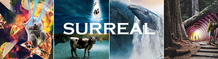 Absurd Surreal