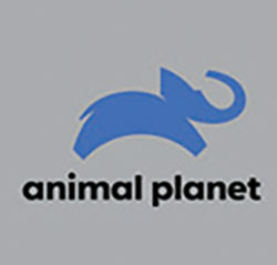 Animal Planet